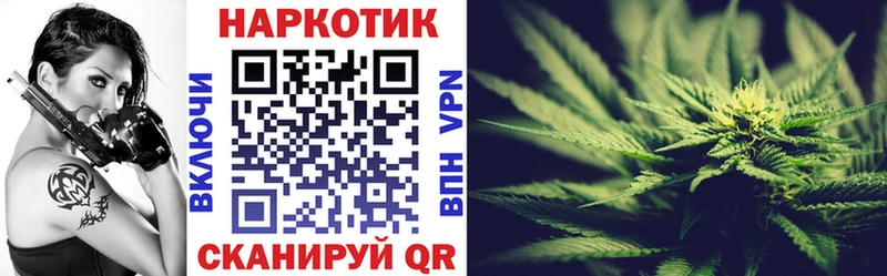Где купить наркотики Отрадное Псилоцибиновые грибы  OMG онион  Метадон  СК  COCAIN 