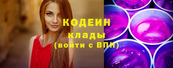 крисы Пересвет