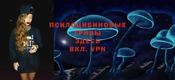 крисы Пересвет