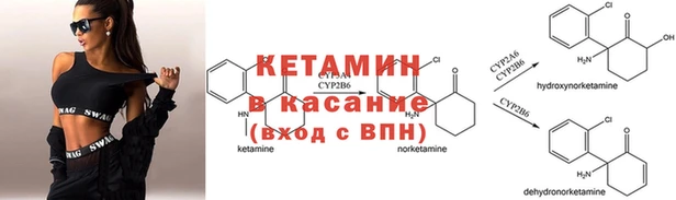 крисы Пересвет