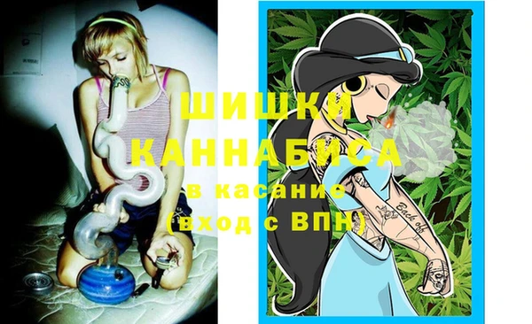 крисы Пересвет