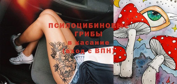 крисы Пересвет