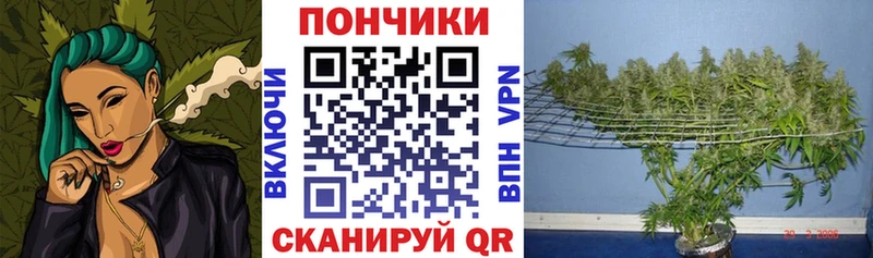 Бошки Шишки SATIVA & INDICA Отрадное